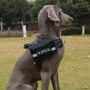 สุนัขหน้าอกและหลังกลางแจ้งสุนัขขนาดกลางและขนาดใหญ่เสื้อกั๊กยุทธวิธีอเนกประสงค์ฝึกสุนัขหน้าอกและหลัง CW67