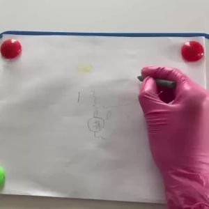 XS/S/M/L Pink Nitrile Gloves Disposable Household Gloves Elastic Latex Free Waterproof Durable Multifunctional Cleaning Tool
