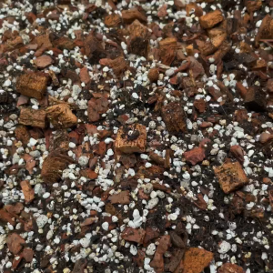 Shopleaf Aroid Potting Mix in Resealable Pouch (2 Liters)