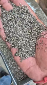 Hạt Chia Đen 500g FT Black Bag Chia