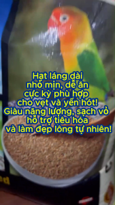 (1Kg) - HẠT LÁNG DÀI (HẠT LĂNG/LÁNG YẾN) THỨC ĂN BỔ DƯỠNG CHO VẸT VÀ YẾN HOT