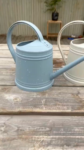 Watering Can for Indoor Plants Small Watering Cans for House Plant Garden Flower Long Spout Water Can for Outdoor Watering Plant