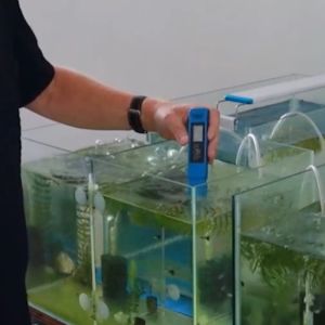 3-in-1 TDS Meter & PH Meter อู่ฮิตโนมัติ TDS Meter 3-in-1 ราคาถูก เกรดพรีเมียม มัลติพารามิเตอร์ PH/EC/TDS 5-In-1 ตัวทดสอบคุณภาพความสวยที่สุด สำหรับการนำไฟฟ้า/PPM/ความเค็ม เพื่อตรวจสอบคุณภาพพืชสวนกันน้ำ เสริมความสวยงามในบ้านคุณได้ที่นี่!