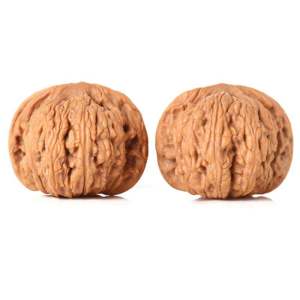 เล่นหัวนกหวีดสีขาว สไตล์โบราณ ชิ้นส่วนที่ถือได้สำหรับเล่น พลิกผัน หัวนกหวีดสีขาว ทรงสั้น สี่ชั้น ทรงหัวแหลม