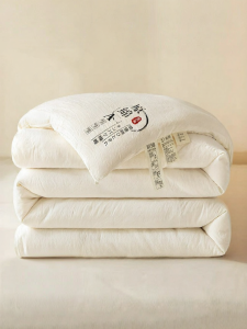 WUYINLIANGPIN | Thickened All-Season Quilt