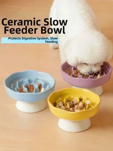 VOA | Anti-choking Raised Ceramic Slow Feeder Bowl