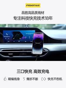 pisen | Fast Charging Triple Device Car Data Cable