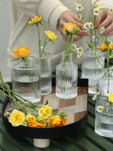 Mini Glass Vase Set 6 ชิ้น ตกแต่งบ้าน วัสดุแก้ว ขนาดเล็ก ดีไซน์เรียบง่าย ใช้ในห้องนั่งเล่น ห้องนอน โต๊ะทำงาน