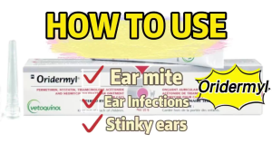 Salep telinga dan kulit anjing kucing - Ear Mite AntiBiotik Anti Jamur - 10g (EXP:2028) Oridermyl