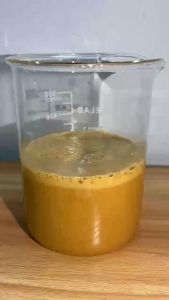 NẤM MEN SACCHAROMYCES HÀM LƯỢNG CAO (2x10^10 cfu/g) - thùng 10 kg