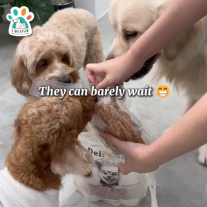 Singapaw Deli Chew Dehydrated Air-Dried Jerky High Protein Chicken Duck Pork Natural Training Chews