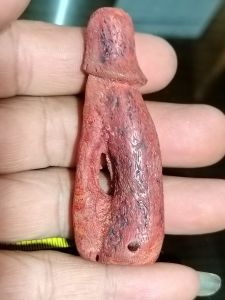 กัลปังหาแดงช่องประตูผีจานอักขระ