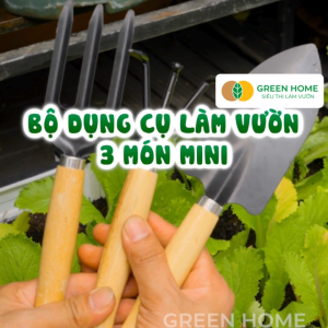Mua 5 tặng 1 - Dụng Cụ Làm Vườn Greenhome D25cm Cán Gỗ Lưỡi Thép Gồm Xẻng Xúc Đất Cào Chĩa Trồng Cây Làm Cỏ Dễ Dàng