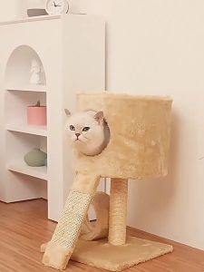 น้ำพุแมวไร้สาย ถังให้น้ำสัตว์เลี้ยง ปล่อยน้ำตามเซ็นเซอร์ อินฟราเรด แบตเตอรี่5200/2600mAh น้ำพุแมว 4ลิตร