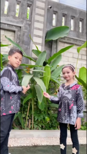 Kemeja Batik Anak Laki Laki Dan Perempuan Lengan Panjang Usia 2-15 Tahun SD - SMP Model Terbaru