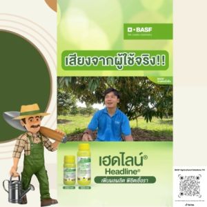 BASF Headline เฮดไลน์ สารป้องกันกำจัดโรคพืช ขนาด 500 มล