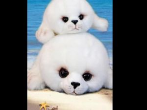 Dropshipping Soft Cute Seals Plush Toy Sea World Animal Sea Lion Plush Stuffed Doll Big Eyes Baby Birthday Gift for Kids Girls