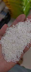 Gạo ST 25 Thiên Long Rice Hàng Vuông Tôm Đặc Sản Sóc Trăng - Gạo Thơm Thượng Hạng Bịch 5 KG