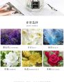 Reed Diffuser 60Ml oil Aromatherapy Replenisher Pewangi Pengharum Ruangan Essential Oil Aroma Murah Pewangi Ruangan Aroma Terapi Ruangan Cair Harga Termurah Purifier Pendingin Ruangan. 
