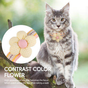 ปลอกคอสัตว์เลี้ยง Mojioo ที่มีการแกะสลักส่วนบุคคลปกแมวส่วนบุคคลและทันสมัยออกแบบดอกไม้ปลอกคอสัตว์เลี้ยงน่ารักสะท้อนแสงและปรับได้และปลอกคอสุนัขสำหรับการเดินกลางแจ้งที่ปลอดภัย