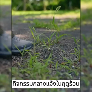 🔥ผงกำมะถันไล่งู ติดทนนาน90วัน ปลอดภัยและไม่เป็นพิษ ผงไล่งู กำมะถันผง SULFUR POWDER ไม่กลัวฝน ติดทนนาน ผงไล่งู กำมะถัน เครื่องไล่งู ไล่งู ไล่แมลง สารไล่งู กำมะถันผงไล่งู ยากันงู ผงไล่งู