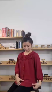 Áo Kiểu Thời Trang Cổ Bèo A101135