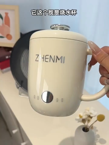 Zhenmi health pot 600ml portable stew cupsmall one-person multi-functional tea cooker office dormitory kettle