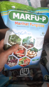 Bio Fungisida Marfu P Tricoderma Koningii & Harzianum 1 Kg