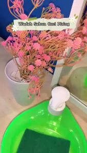 Tempat Sabun Cair Plus Spons Cuci Piring Model Bulat Dispenser 2 in 1