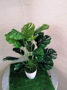 monstera vs fildde fig pokok artificial tree bersama pasu