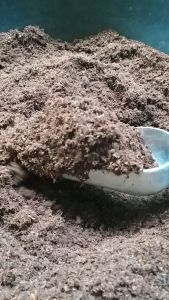 พีทมอส Peat Moss บรรจุ 1 ลิตร เพาะเมล็ด เพาะกล้า ใช้สะดวก *สูตรพิเศษเกรดพรีเมี่ยม ของแท้ พีทนำเข้า 100% **พร้อมส่ง +ส่งทุกวัน