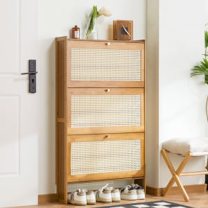 Space-Saving Large Capacity Home Shoe Rack
