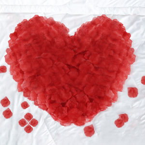 1000PCS Artificial Red Rose Petals Colorful Simulation Silk Fake Rose Petal Decoration for Wedding Room Valentines Day Christmas Party Decor Wholesale