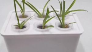 Hydroponic System Growing Box DIY Self Watering Indoor Hydroponics Tools Gifts for Friends Family Plant Lovers