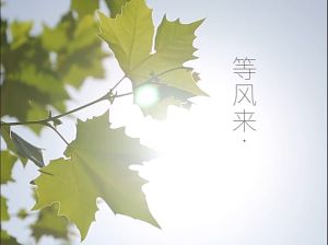 Mini Usb Handheld Fan Charging Portable Fan Handheld Desktop Fan Portable Fan For Student Desktop Small Electric Fan