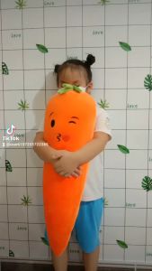 GỐI ÔM CAROT NHỒI BÔNG CHO BÉ (80cm) CHỌN MẨU NGẨU NHIÊN