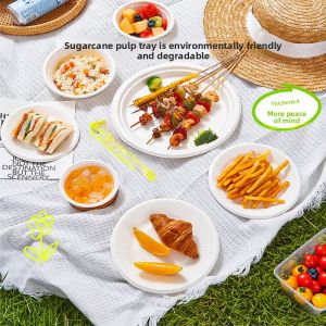 TEMEIJU | Disposable Degradable Microwave-safe Dinnerware Set