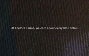 Natural Factors - Organic Ashwagandha Stress Relief Anxiety Relief Serenity Formula (60 Capsules)