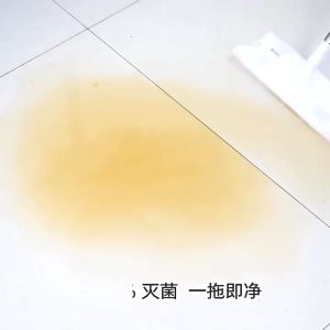 F&F : LAZY Flat Mop/mop tisu pakai buang/wet tissue mop/mop lantai/mop lantai viral/lazy mop
