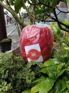 Tali Rafia warna cerah Kw1 ORI berat 500 gram