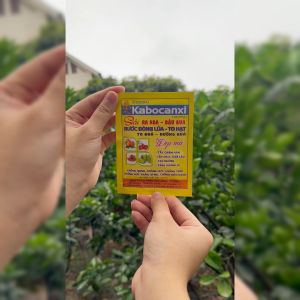 Phân Bón Kabocanxi - Kích Ra Hoa Đậu Quả Dùng Cho Cây Dâu Tây Bầu Bí Dưa Chuột Đậu Cây Ăn Trái.. - Hàng Chính Hãng