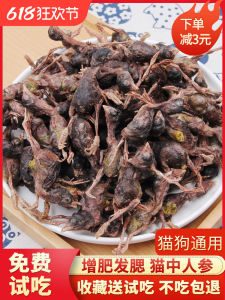 Dehydrated Quail Cat Treats Dog Snacks Bone Meat Calcium Supplement Tooth Grinding Hair Beauty Skin Care Pet Supplies