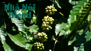 500gr Cà Phê Nhà Núi Blend 70/30 - Vị Mạnh Mẽ Hậu Vị Mượt Mà | Hạt Rang Mộc | Xay Phin Xay Máy
