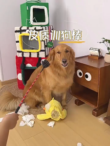 Roi huấn luyện Chó Mèo hình bàn tay (mẫu mới) - Love Pets Shop