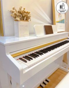 [HAO MELODY] 88 Keys Hammer Weighted Digital Piano With Classic Traditional Piano Design - H8803