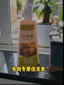U-ROOT KHAS UNTUK TUMBUHAN SUCULENT500ml/SUCCULENTS FERTILIZER 500ml/八个老头多肉专用优芽素500ml