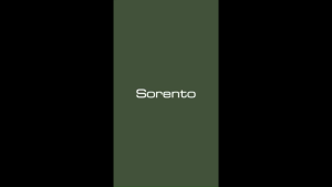 SORENTO Water Closet SRTWC8066 -S Series 10" (WH/BL/MBL/GY/RG) / TORNADO FLUSH Toilet Bowl / One Piece WC | Jamban Duduk