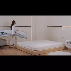 Foldable Yurt Mosquito Net (No Installation) - Anti-Mosquito Tent for Single/Double Dormitory Beds