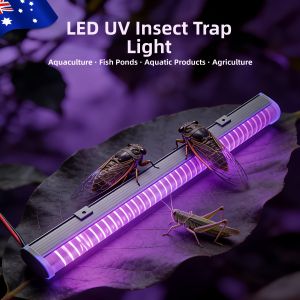 FANMUAO | Purple Light Cicada Trap Lamp Black Light Insect Attracting Light