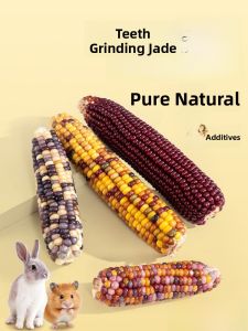 Nutritious Corn Teeth Grinding Stick for Hamsters Rabbits Guinea Pigs Chinchillas Pet Treats Toys Scenic Decoration Items